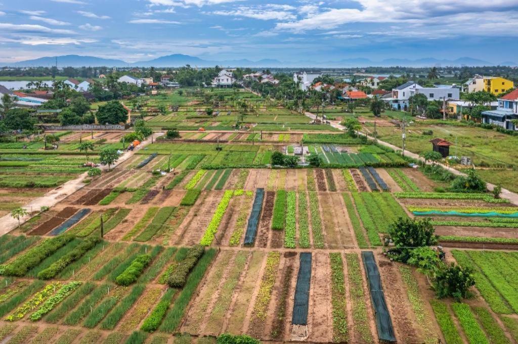 Hội An HT Villa and Hostel Exteriör bild